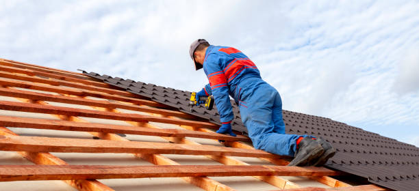 Best Roof Moss and Algae Removal  in Crestwood, MO